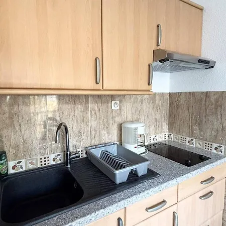Confortable Avec Wifi, Parking, Proche Thermes Et Centre D'amelie-les-bains - Fr-1-703-62