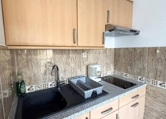 Confortable Avec Wifi, Parking, Proche Thermes Et Centre D'amelie-les-bains - Fr-1-703-62