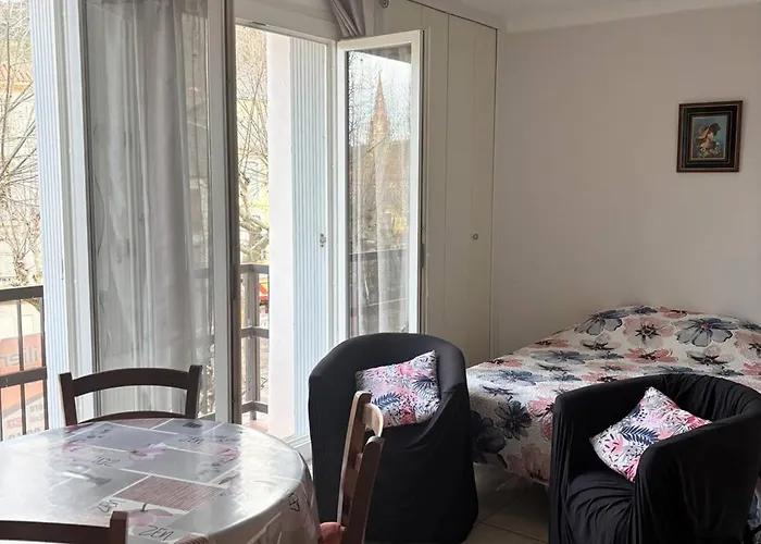 Confortable Avec Wifi, Parking, Proche Thermes Et Centre D'amelie-les-bains - Fr-1-703-62 Lägenhet