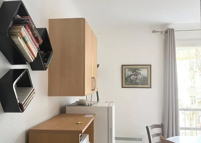 Lägenhet Confortable Avec Wifi, Parking, Proche Thermes Et Centre D'amelie-les-bains - Fr-1-703-62 *