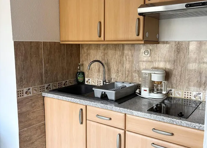 Confortable Avec Wifi, Parking, Proche Thermes Et Centre D'amelie-les-bains - Fr-1-703-62 Lägenhet Amélie-les-Bains-Palalda
